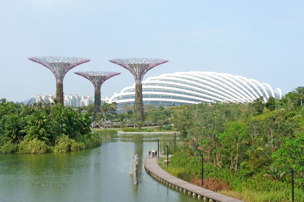 gardens by the bay