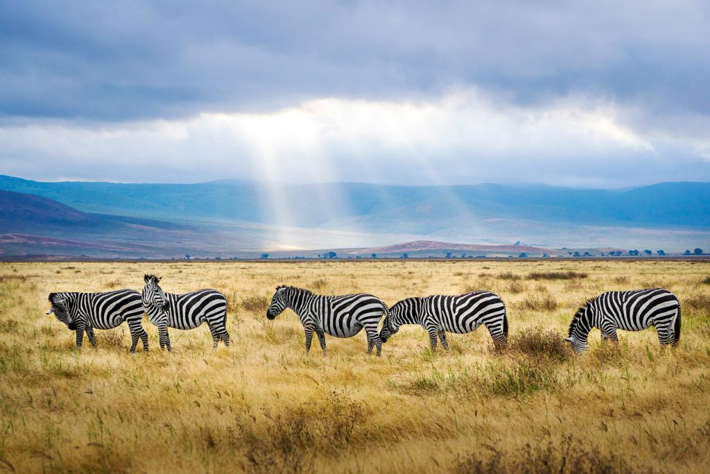 Tanzanie