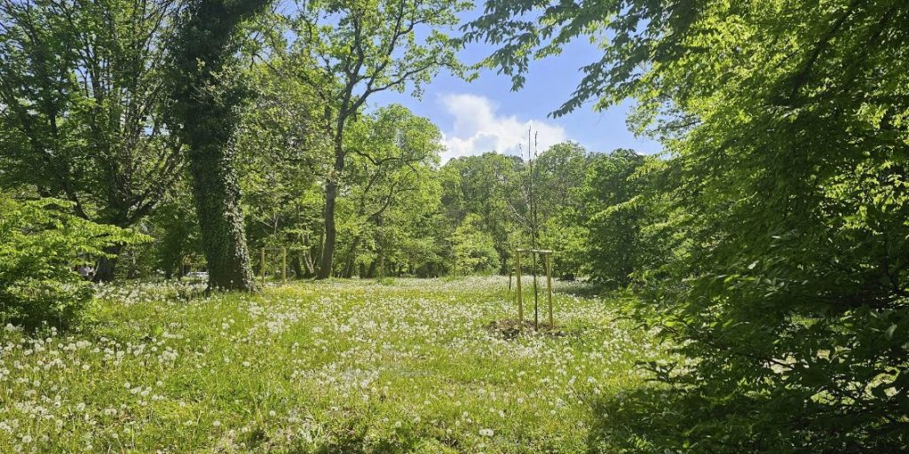 foret ripaille